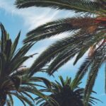 Gems of San Jose California - Walking Tour for Couples - Exploring the Itinerary in Depth