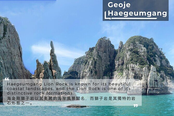 Geoje Oedo Botania Island from Busan - Why This Tour Works for You