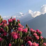 Ghorepani Poon Hill Trek - What Makes This Trek Special?