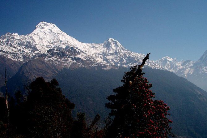 Ghorepani Poon Hill Trek - An In-Depth Look at the Ghorepani Poon Hill Trek Experience