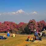 Ghorepani Poon Hill Trek - Why the Guides Make a Difference