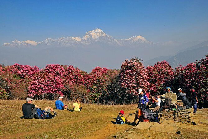 Ghorepani Poon Hill Trek - Why the Guides Make a Difference