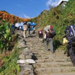 Ghorepani Poon Hill Trekking - The Scenic Highlights: Why You’ll Love This Trek