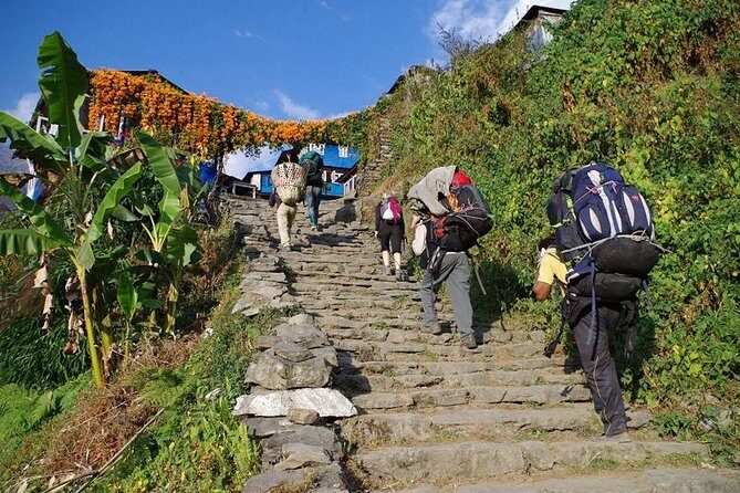 Ghorepani Poon Hill Trekking - The Scenic Highlights: Why You’ll Love This Trek