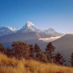Ghorepani Poonhill Trek - What the Tour Includes & What to Consider