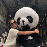 Giant Panda Hometown and Taoist Mountain Discovery From Chengdu - Exploring Chengdu’s Panda Sanctuary