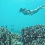 Gili Trawangan,Gili Meno& Gili Air Island:Snorkeling Day Trip Depart from Lombok - The Itinerary in Detail
