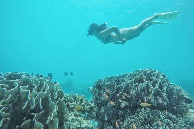 Gili Trawangan,Gili Meno& Gili Air Island:Snorkeling Day Trip Depart from Lombok - The Itinerary in Detail