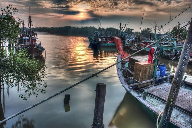 Glowing Kuala Selangor Firefly Tour - Who Should Consider This Tour?