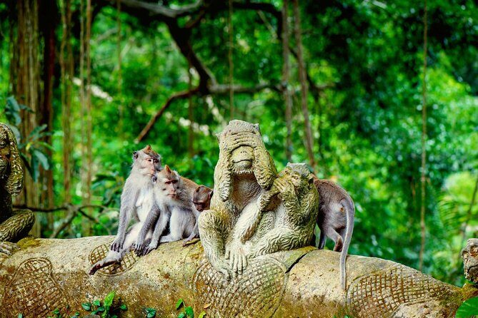 Goa Gajah / Elephant Cave Temple And Ubud Tour - All Inclusive - Who Should Book This Tour?