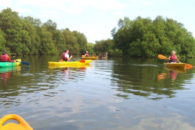 Goa Kayaking Spike's Salonia Backwaters Kayaking Experience - The Guides and Their Role in Making the Experience Special