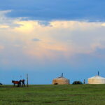 Gobi desert Mongolia for 8 days - What Sets This Tour Apart?