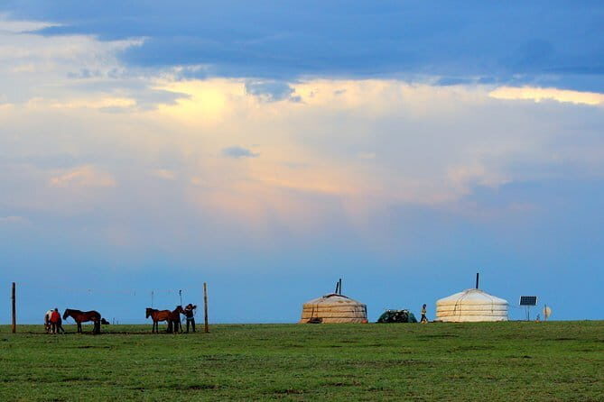 Gobi desert Mongolia for 8 days - What Sets This Tour Apart?