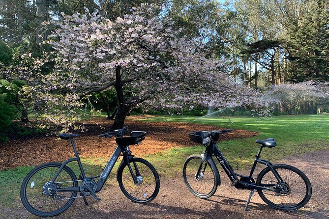 Golden Gate Park Electric Bike Rental - The Sum Up
