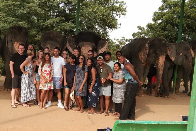 Golden Triangle Tour - Practical Insights and Tips