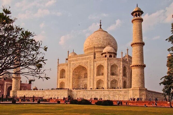 Golden Triangle Tour in India - Authentic Insights from Reviewers