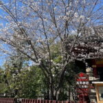 Goshuin Collecting tour at Asakusa Local Temples & Shrines, Tokyo - The Experience of Collecting Goshuin