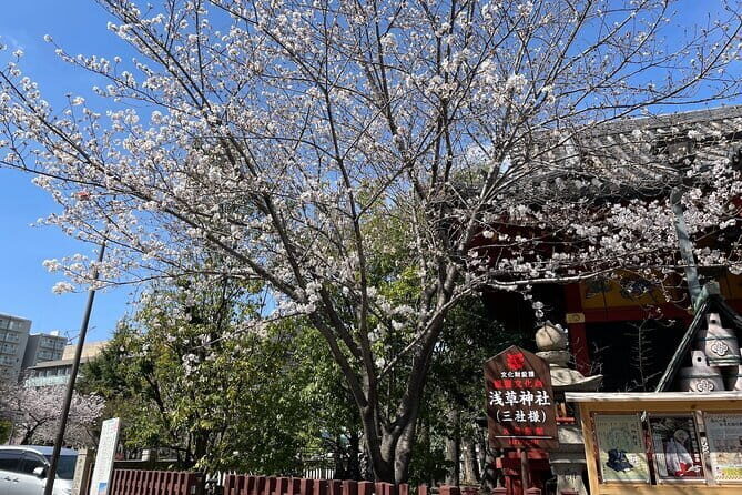 Goshuin Collecting tour at Asakusa Local Temples & Shrines, Tokyo - The Experience of Collecting Goshuin