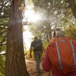 Grand Teton Full Day Private Tour - Itinerary Breakdown: From Iconic Historic Sites to Wildlife Hotspots