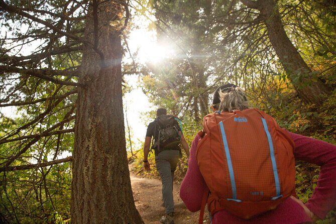 Grand Teton Full Day Private Tour - Itinerary Breakdown: From Iconic Historic Sites to Wildlife Hotspots