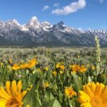 Grand Teton National Park Private Wildlife Safari - Dawn/Dusk - Who Should Consider This Tour?