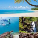 Grand Tour Around Oahu- Swim at Waterfall & Turtle Beach - Practical Details and What to Expect