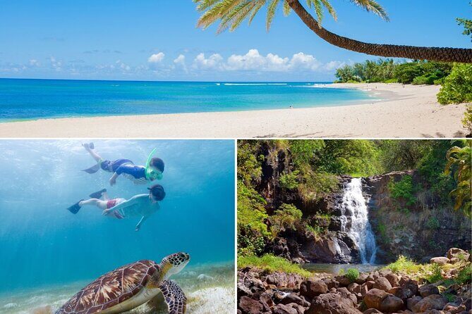 Grand Tour Around Oahu- Swim at Waterfall & Turtle Beach - Practical Details and What to Expect