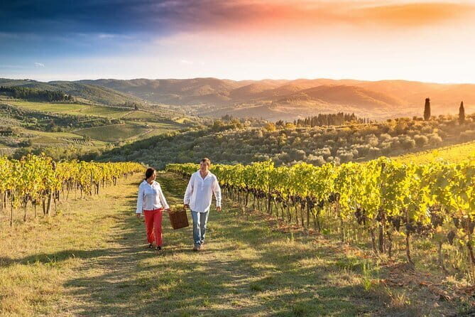 Grape Stomping and Wine Tasting in Tuscany - Practical Details and Value