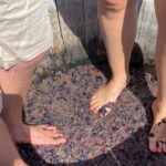 Grape Stomping Experience and Wine Tasting - Authenticity and Personal Touch