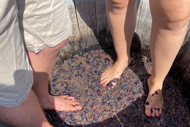 Grape Stomping Experience and Wine Tasting - Authenticity and Personal Touch