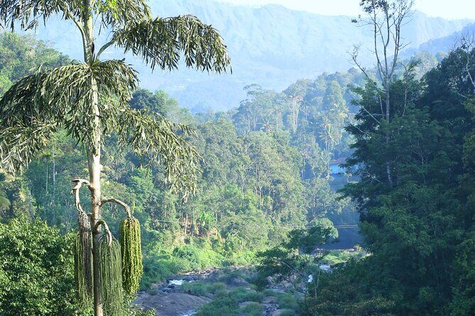 Green Magic Day Tour to Munnar - Practical Details and What You Should Know