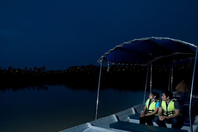 Group Tour: Kuala Selangor Firefly Blinking's including Dinner - An In-Depth Look at the Kuala Selangor Firefly Tour