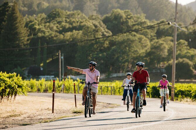 Guided Electric Bike Wine Tour Through Sonoma County - Cost and Value Analysis