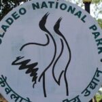 Guided Keoladeo Bird National Park Tour in Bharatpur from Jaipur - Potential Considerations