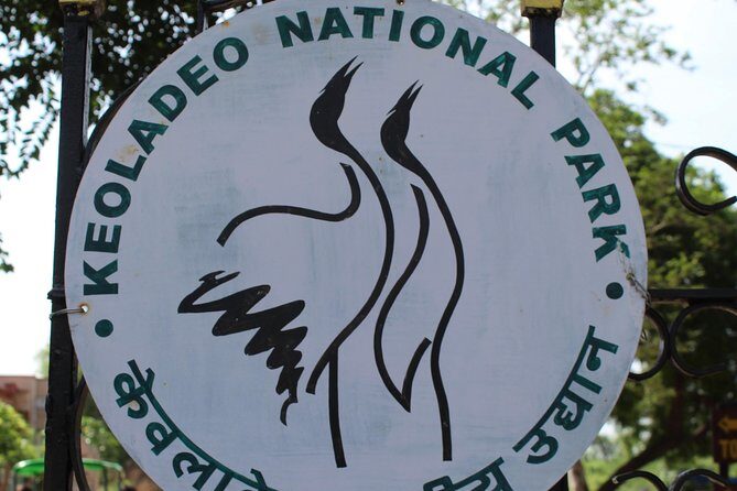 Guided Keoladeo Bird National Park Tour in Bharatpur from Jaipur - Potential Considerations