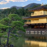 Guided Kyoto City Cherry Blossom One Day Private Tour - A Deep Dive into the Kyoto Cherry Blossom Private Tour