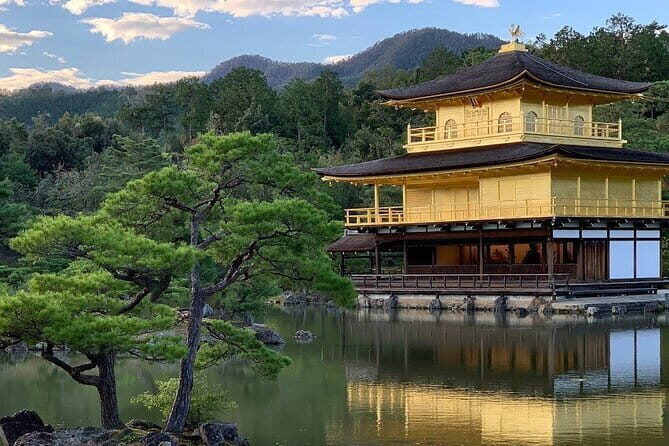 Guided Kyoto City Cherry Blossom One Day Private Tour - A Deep Dive into the Kyoto Cherry Blossom Private Tour