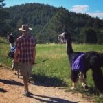 Guided Llama Hike in the Rocky Mountains - Who Will Love This Experience?