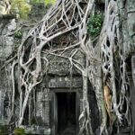 Guided Private A/C Vehicle Tour to Angkor Wat and Small Circle with Two Extras - Authentic Insights from Reviewers