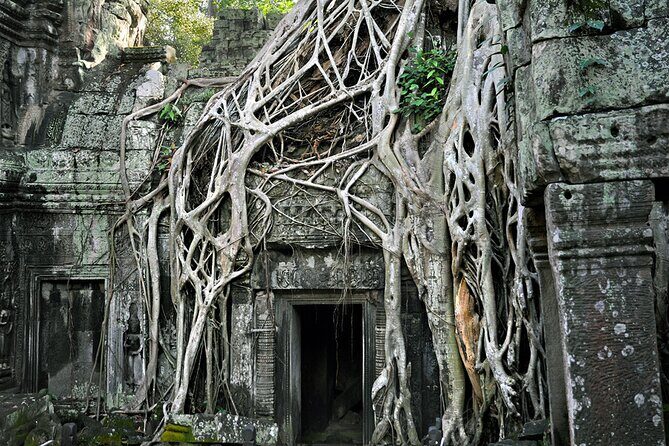 Guided Private A/C Vehicle Tour to Angkor Wat and Small Circle with Two Extras - Authentic Insights from Reviewers