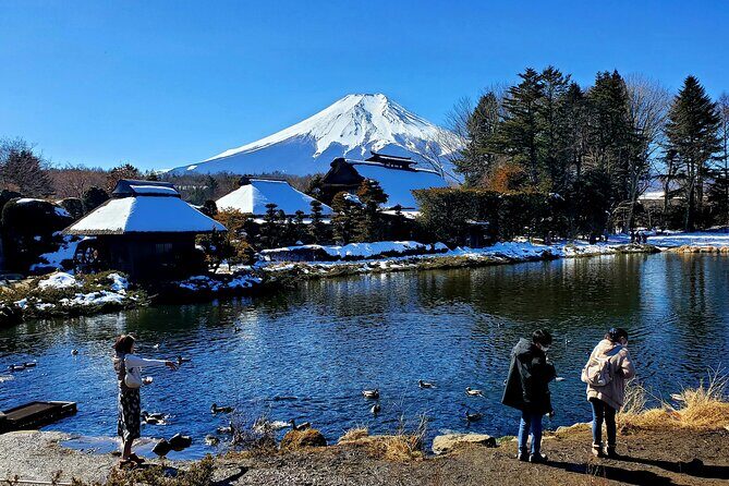 Guided Private Mt. Fuji and Hakone Tour GREEN NUMBER PLATES - Transport and Logistics: Making It Hassle-Free