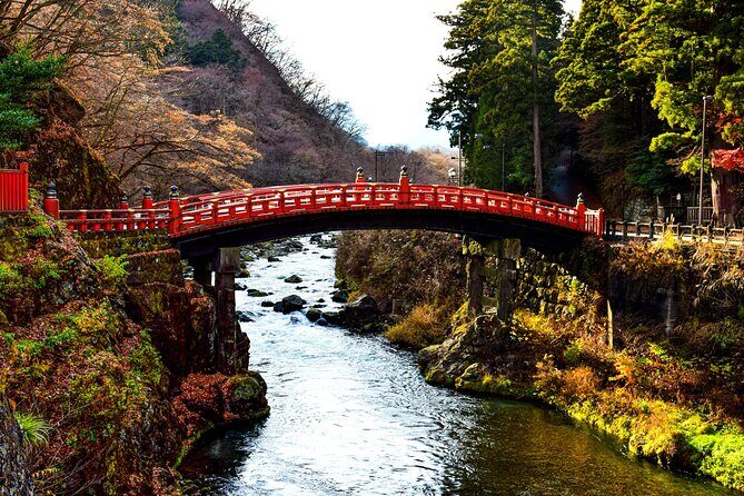 Guided Private Nikko Tour GREEN NUMBER PLATES - Discovering Nikko: What Makes This Tour Stand Out