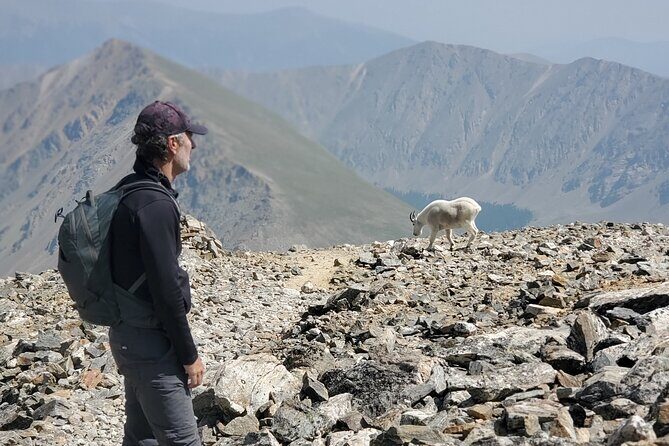 Guided Private Scenic Colorado Mountain Hiking - Half Day - Final Thoughts: Is It Worth It?