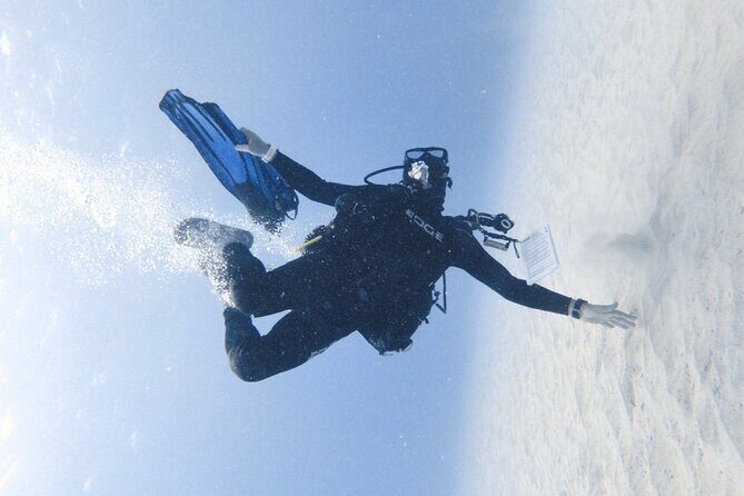 Guided Shore Dive or Refresher Dive - Exploring the Tour Details