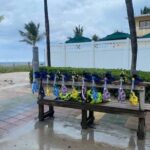 Guided Snorkeling Shipwreck & Coral Reef in South Florida - The Realities of the Experience (Based on Feedback)