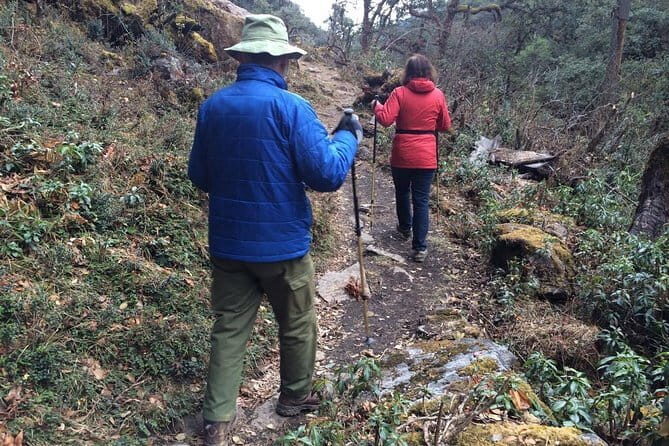 Guided Village walk with Stories in Dharamsala - Authentic Reviews and Tips from Past Travelers