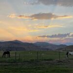 Guided Walking Tour of Methow Meadows and Meet the Animals - The Practicalities: What You Need to Know