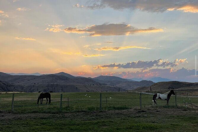 Guided Walking Tour of Methow Meadows and Meet the Animals - The Practicalities: What You Need to Know