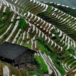 Guilin Reed Flute Cave and Longji Rice Terraces Private Day Tour - Pricing and Value
