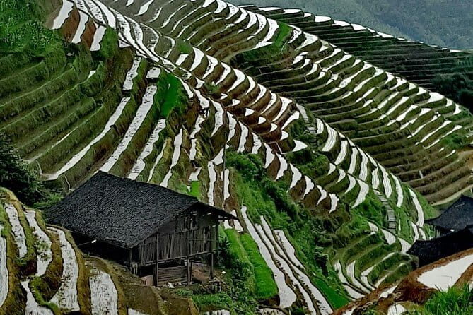 Guilin Reed Flute Cave and Longji Rice Terraces Private Day Tour - Pricing and Value
